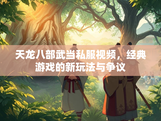 天龙八部武当私服视频，经典游戏的新玩法与争议
