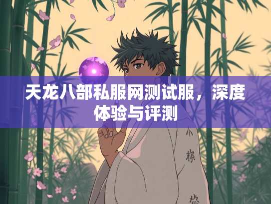 天龙八部私服网测试服，深度体验与评测