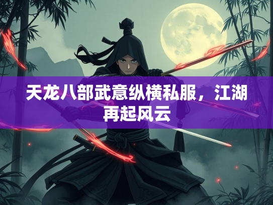 天龙八部武意纵横私服，江湖再起风云  第1张
