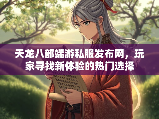 天龙八部端游私服发布网，玩家寻找新体验的热门选择  第3张