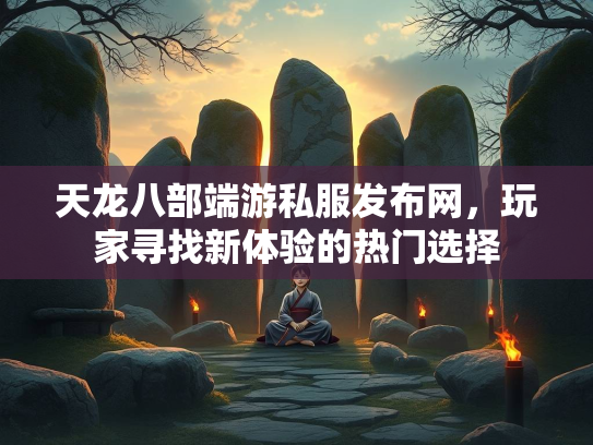天龙八部端游私服发布网，玩家寻找新体验的热门选择  第1张