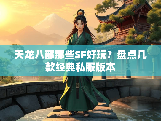 天龙八部那些SF好玩？盘点几款经典私服版本  第5张