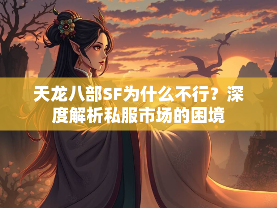 天龙八部SF为什么不行？深度解析私服市场的困境  第4张