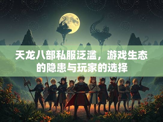 天龙八部私服泛滥，游戏生态的隐患与玩家的选择  第5张