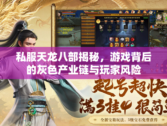 私服天龙八部揭秘，游戏背后的灰色产业链与玩家风险  第2张