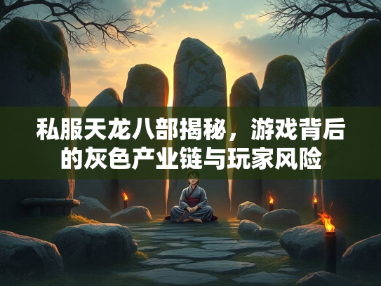 私服天龙八部揭秘，游戏背后的灰色产业链与玩家风险  第3张