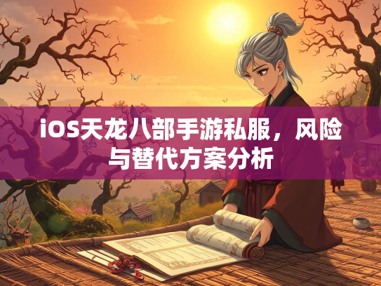 iOS天龙八部手游私服，风险与替代方案分析  第3张