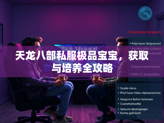 天龙八部私服极品宝宝，获取与培养全攻略  第5张