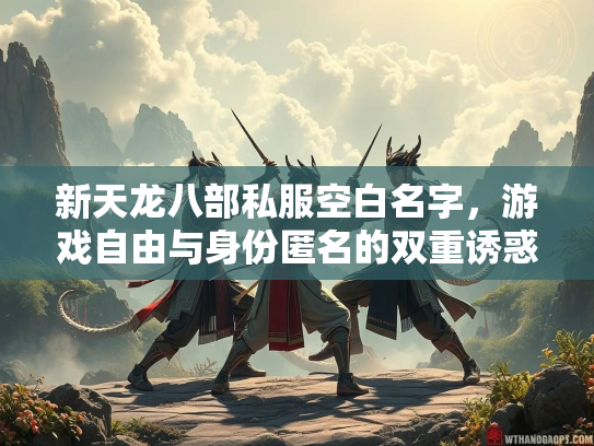 新天龙八部私服空白名字，游戏自由与身份匿名的双重诱惑  第3张