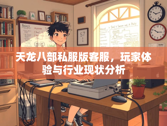 天龙八部私服版客服，玩家体验与行业现状分析  第3张