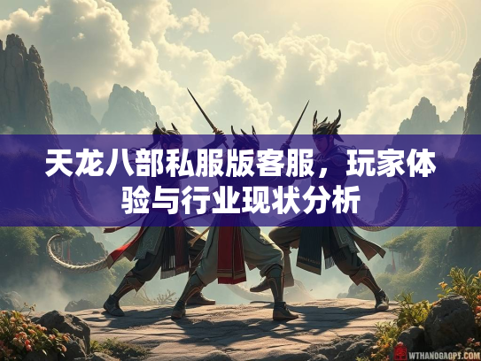 天龙八部私服版客服，玩家体验与行业现状分析  第4张