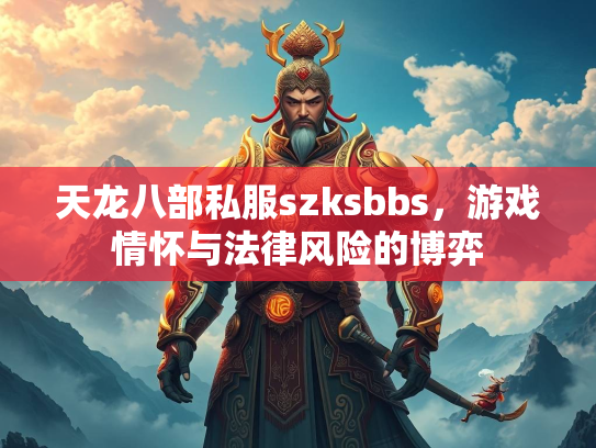 天龙八部私服szksbbs，游戏情怀与法律风险的博弈
