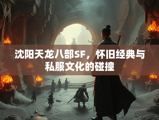 沈阳天龙八部SF，怀旧经典与私服文化的碰撞