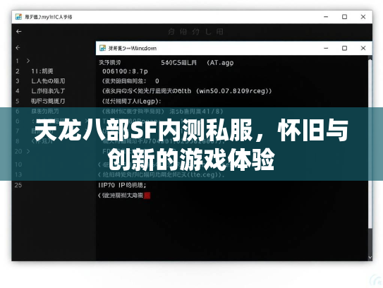 天龙八部SF内测私服，怀旧与创新的游戏体验  第3张