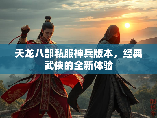 天龙八部私服神兵版本，经典武侠的全新体验  第4张