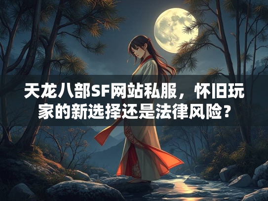 天龙八部SF网站私服，怀旧玩家的新选择还是法律风险？