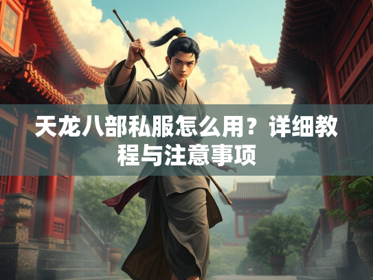 天龙八部私服怎么用？详细教程与注意事项  第2张