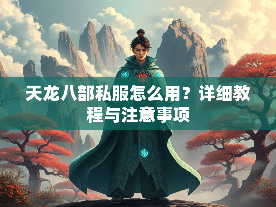 天龙八部私服怎么用？详细教程与注意事项