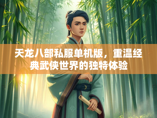 天龙八部私服单机版，重温经典武侠世界的独特体验