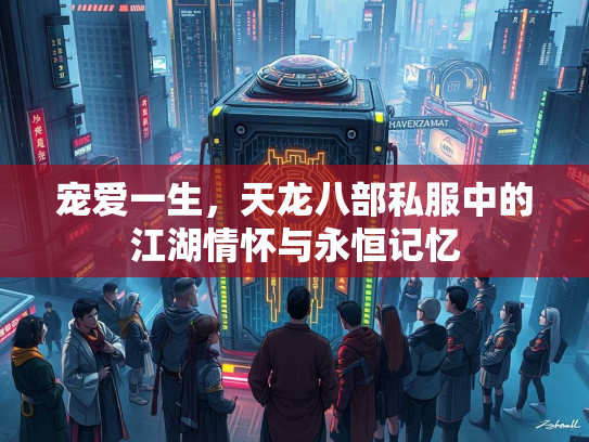 宠爱一生，天龙八部私服中的江湖情怀与永恒记忆  第1张