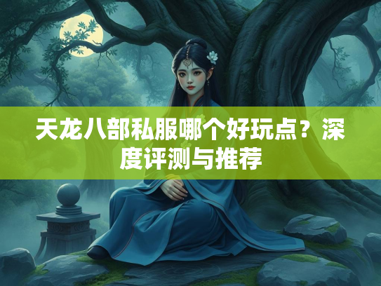 天龙八部私服哪个好玩点？深度评测与推荐