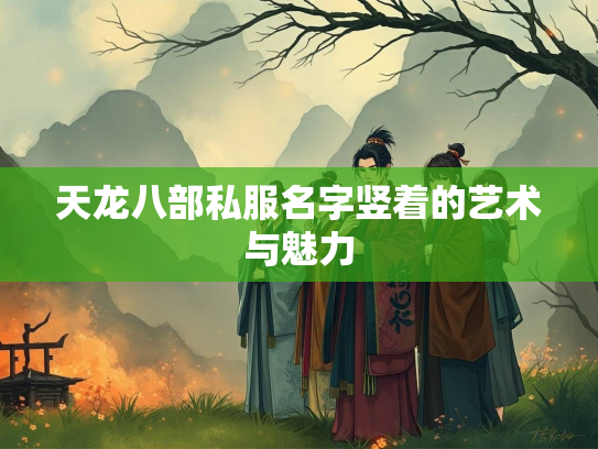 天龙八部私服名字竖着的艺术与魅力