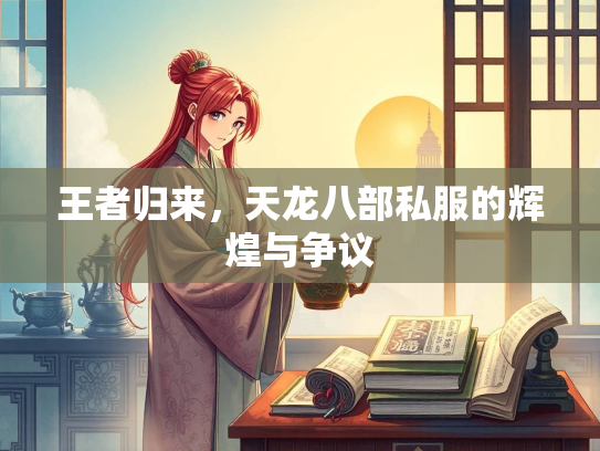 王者归来，天龙八部私服的辉煌与争议  第2张