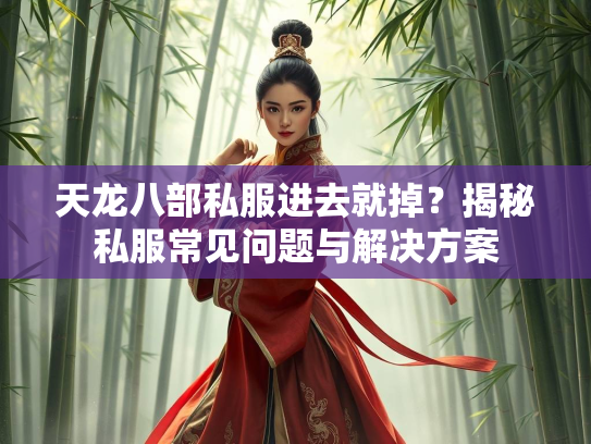 天龙八部私服进去就掉？揭秘私服常见问题与解决方案  第2张