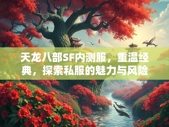 天龙八部SF内测服，重温经典，探索私服的魅力与风险