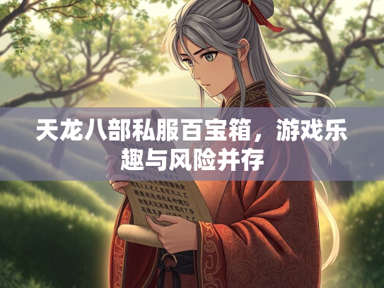 天龙八部私服百宝箱，游戏乐趣与风险并存  第2张