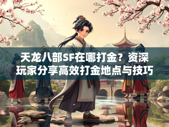 天龙八部SF在哪打金？资深玩家分享高效打金地点与技巧  第4张