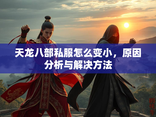 天龙八部私服怎么变小，原因分析与解决方法  第3张