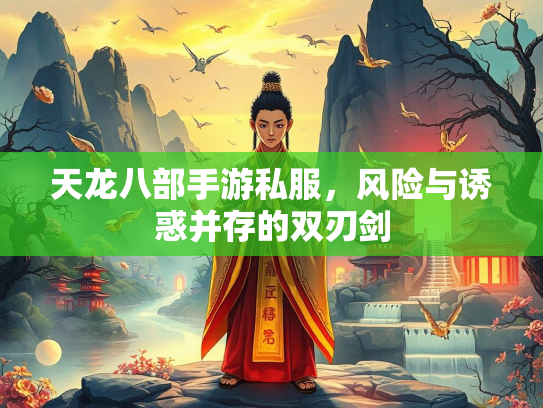 天龙八部手游私服，风险与诱惑并存的双刃剑