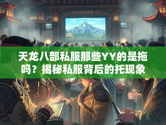天龙八部私服那些YY的是拖吗？揭秘私服背后的托现象  第5张