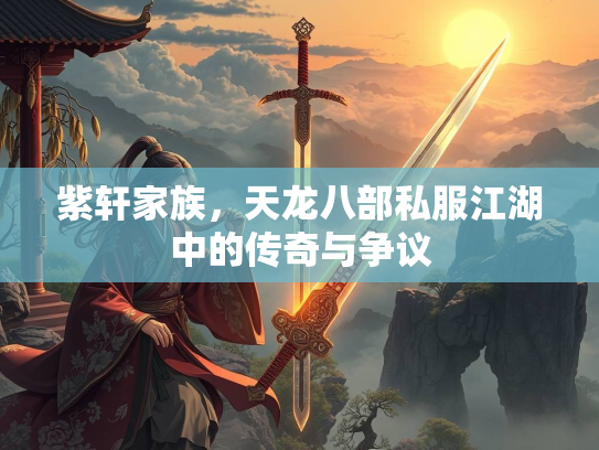 紫轩家族，天龙八部私服江湖中的传奇与争议  第4张