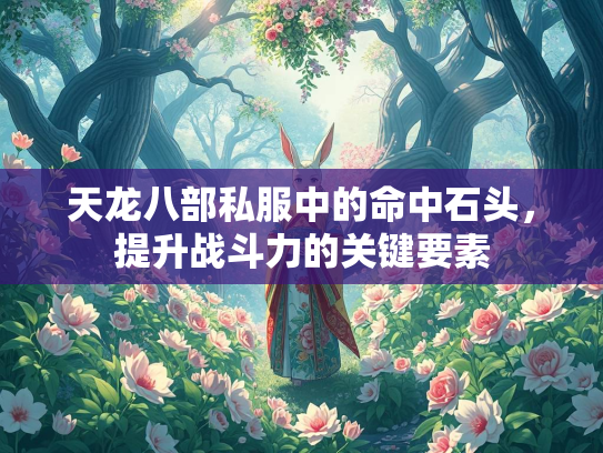 天龙八部私服中的命中石头，提升战斗力的关键要素