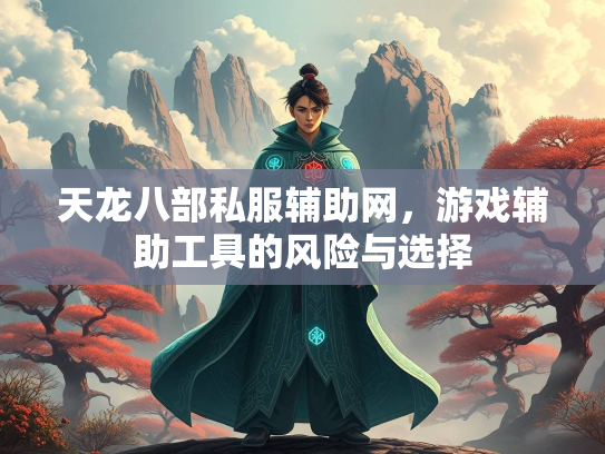 天龙八部私服辅助网，游戏辅助工具的风险与选择  第4张