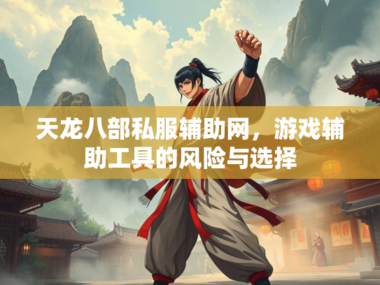 天龙八部私服辅助网，游戏辅助工具的风险与选择  第5张