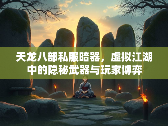 天龙八部私服暗器，虚拟江湖中的隐秘武器与玩家博弈  第3张