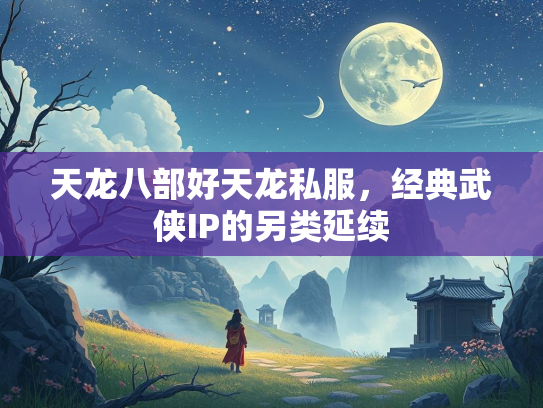 天龙八部好天龙私服，经典武侠IP的另类延续