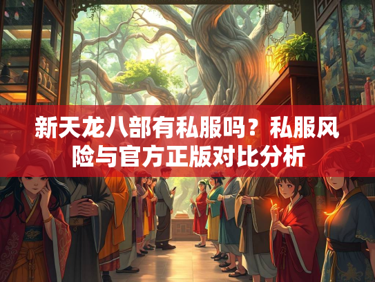 新天龙八部有私服吗？私服风险与官方正版对比分析  第4张