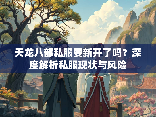 天龙八部私服要新开了吗？深度解析私服现状与风险  第3张