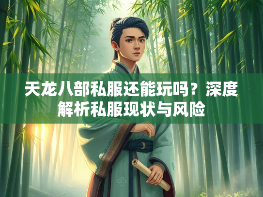 天龙八部私服还能玩吗？深度解析私服现状与风险  第4张