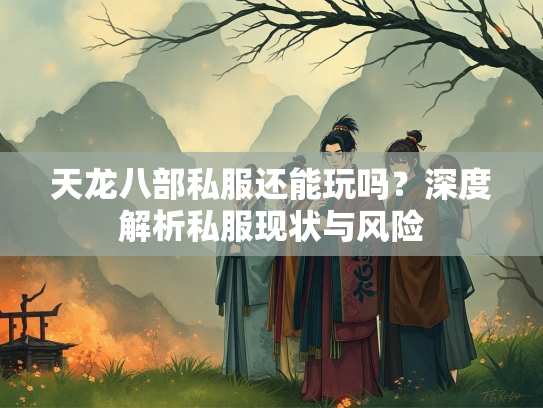 天龙八部私服还能玩吗？深度解析私服现状与风险