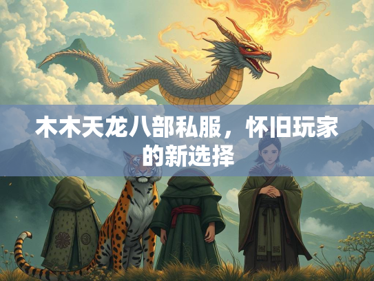 木木天龙八部私服，怀旧玩家的新选择  第3张