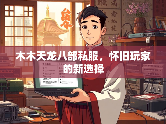 木木天龙八部私服，怀旧玩家的新选择  第4张
