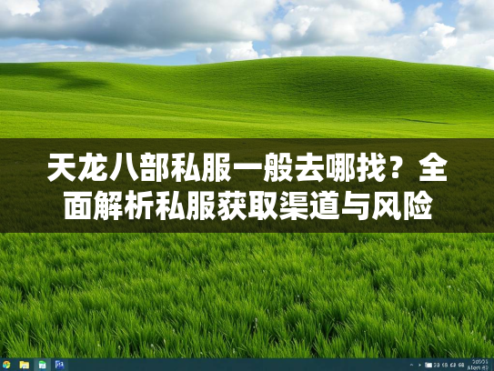 天龙八部私服一般去哪找？全面解析私服获取渠道与风险  第4张
