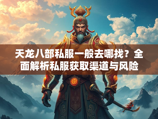 天龙八部私服一般去哪找？全面解析私服获取渠道与风险  第5张