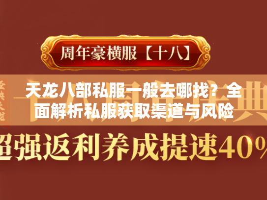 天龙八部私服一般去哪找？全面解析私服获取渠道与风险  第2张