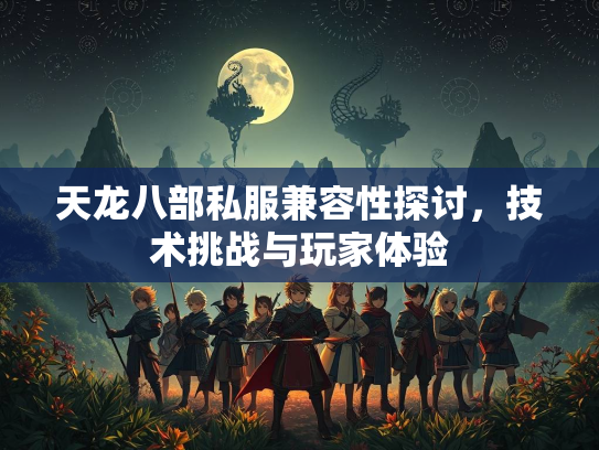 天龙八部私服兼容性探讨，技术挑战与玩家体验  第5张